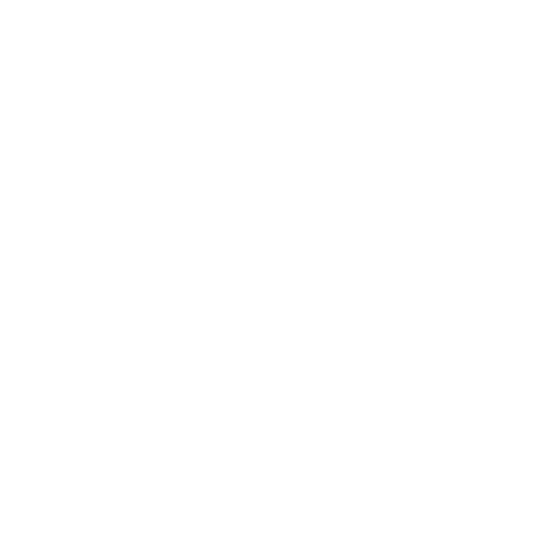 Connexion Artist-Run-Centre 22-connexion-arc-logo.png