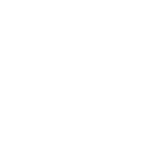 Willow Youth Projects 5-logo-square-white-500x500.png